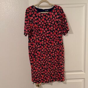 Land’s End Red and Blue Floral Dress
